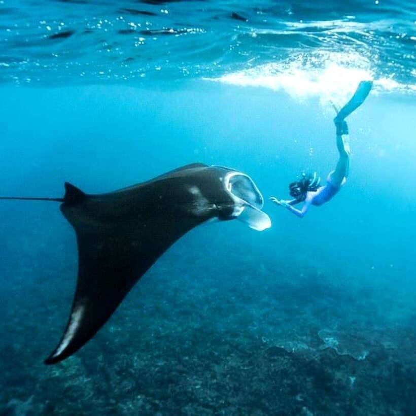 Bali: Nusa Penida Manta Snorkeling Tour & Beach Club Access - Why This Tour Offers Good Value
