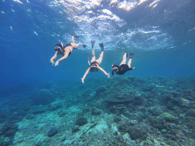 Bali: Nusa Penida: Snorkeling, West trip, lunch & speed boat - A Deep Dive into the Itinerary