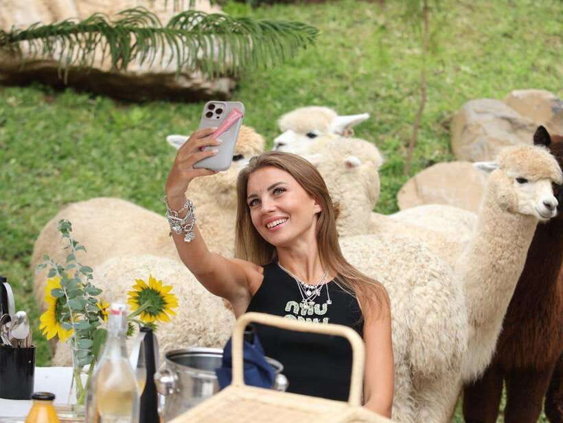 Bali: Picnic with Alpacas/Donkeys and Temple Tour - What You Can Expect From This Tour
