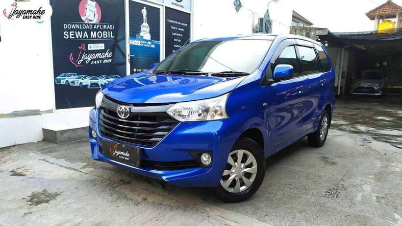Bali Private Car Charter With Profesional Drivers - Practical Tips for Making the Most of Your Day