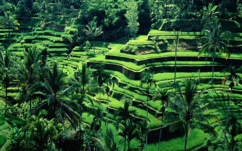 Bali: Private Customize Tour - What Makes Each Itinerary Stand Out?