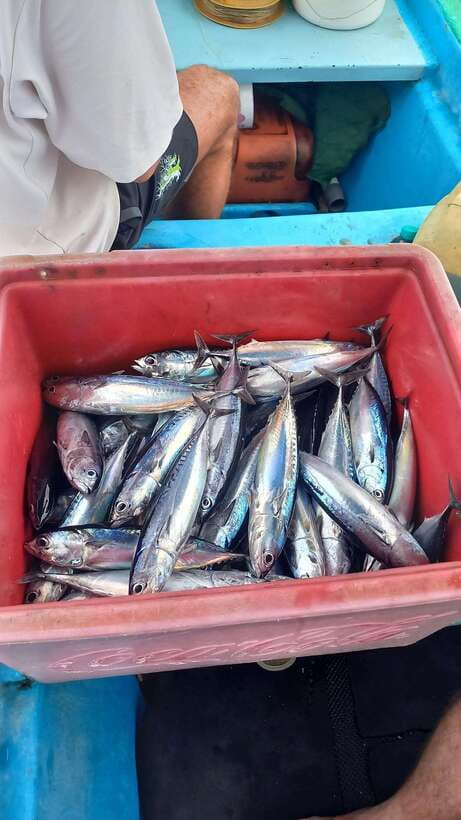 Bali: Private Fishing Trip with Lunch - What to Expect on Your Bali Private Fishing Trip