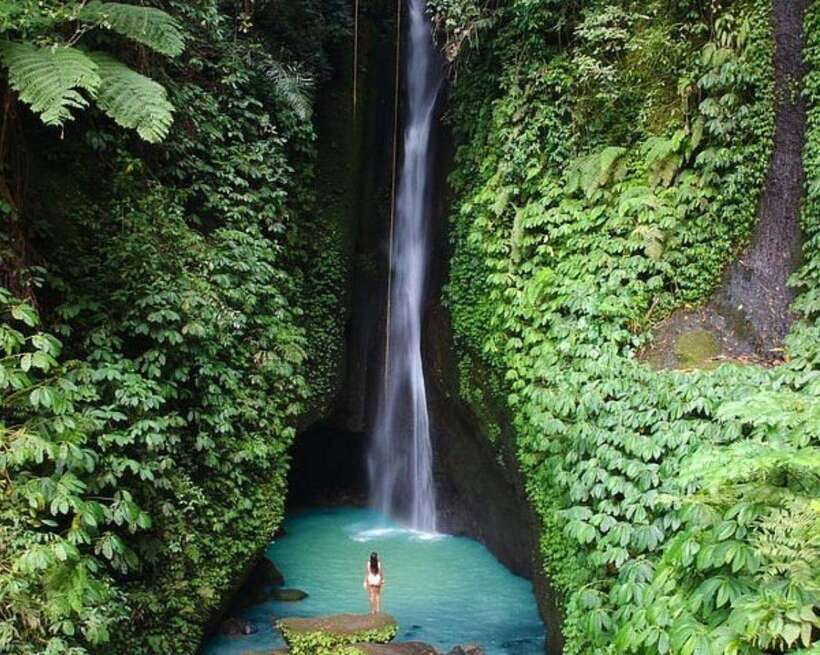 Bali: Private North Sightseeing Jatiluwih, Ulun Danau Temple - Transport and Value