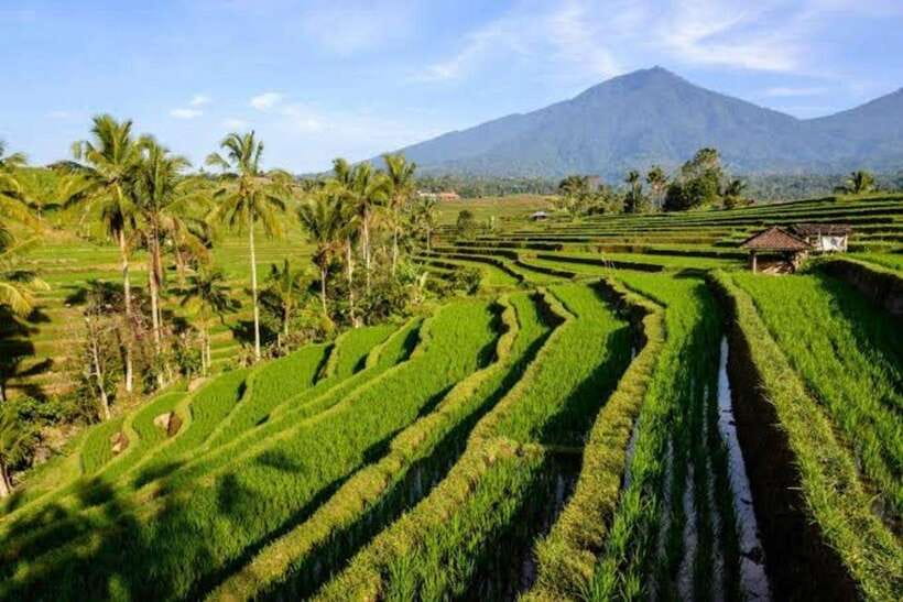 Bali: Private UNESCO World Heritage Sites Tour - What’s Included and What to Consider