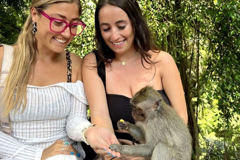 BALI :Sanctuary Monkey forest, rice terrace Water temple - The Itinerary Breakdown: What’s Included
