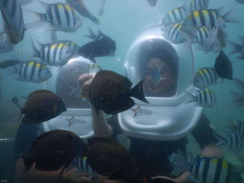 Bali: Sea Walker Water Sport Experience with Hotel Transfer - An In-Depth Breakdown of the Experience