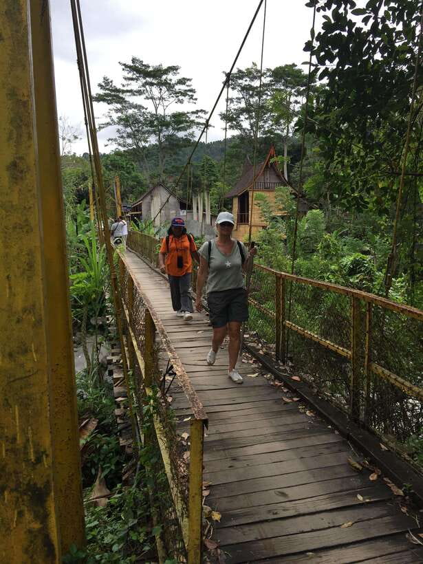 Bali: Sidemen Trekking with Besakih Temple Tour/Rafting - Practical Details and Value