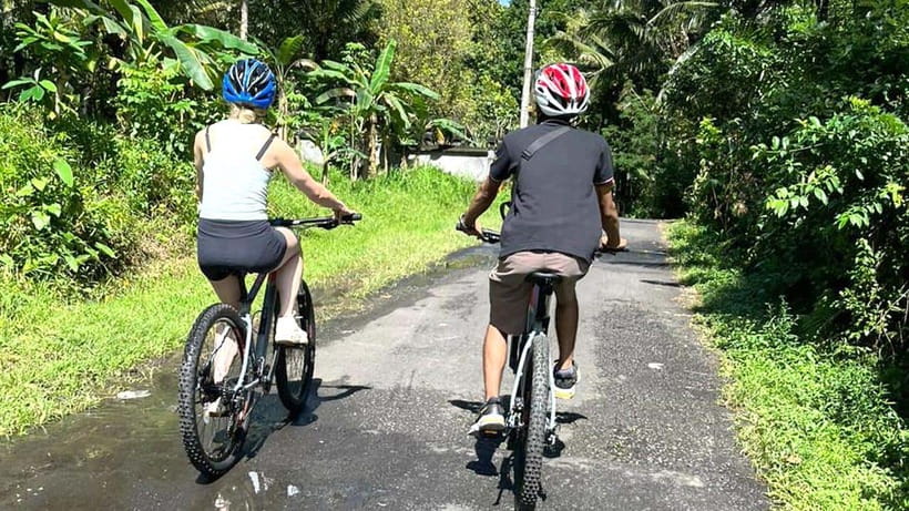 Bali: Sidemen Valley Cycling Tour with Gembleng Waterfall - What Makes This Tour Stand Out