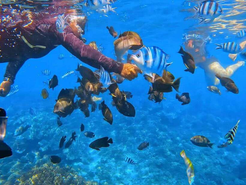 Bali: Snorkeling at Blue Lagoon and Tanjung Jepun with Lunch - Itinerary Breakdown: What Makes Each Stop Special