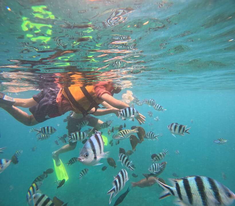 Bali: Snorkeling Experience in Blue Lagoon and Tanjung Jepun - Overview of the Experience