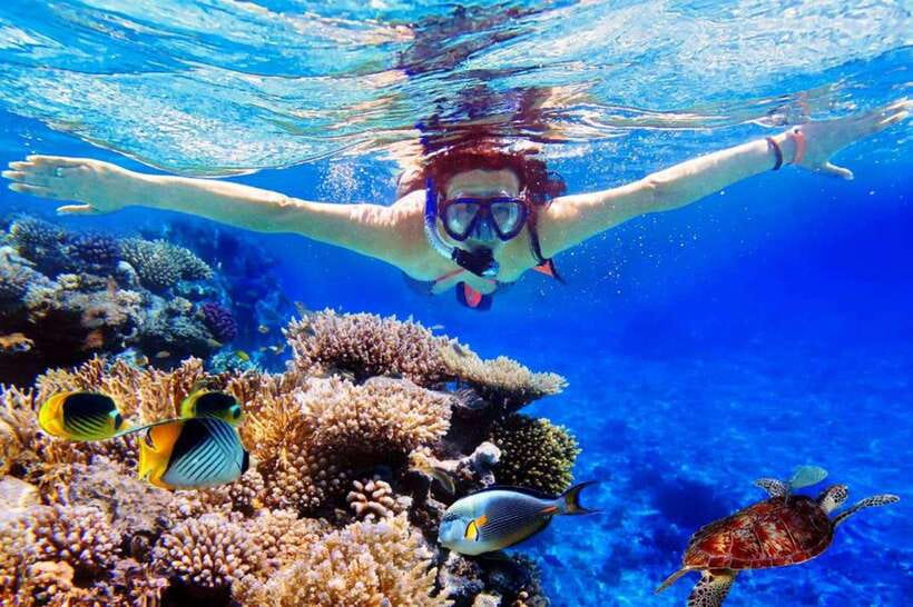 Bali: Snorkeling Tour with USAT Liberty Shipwreck - The Itinerary in Detail