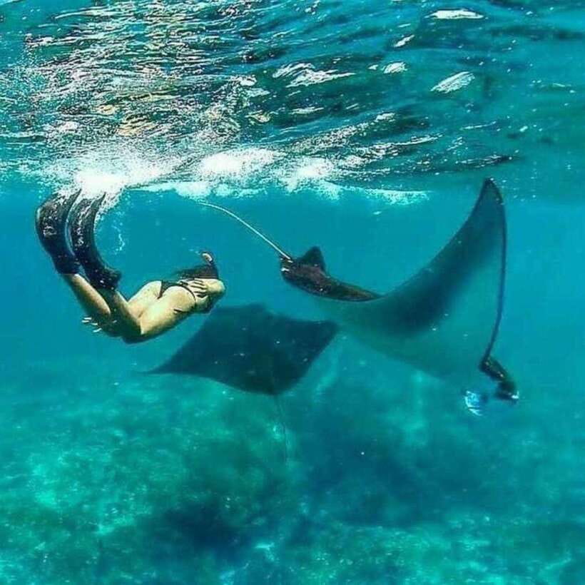 Bali southeast : Nusa Penida Full-Day Trip with Snorkeling - Who Will Love This Tour?