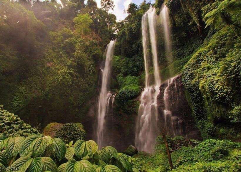 Bali: Top Highlights Private Full-Day Tour from Hotel - The Experience in Detail