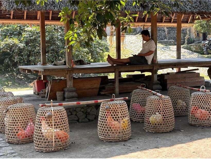 Bali: Traditional Villages, Salt Farm & Tirta Gangga Tour - What Sets This Tour Apart?