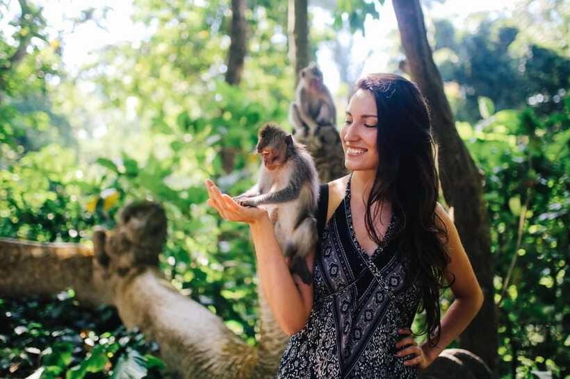 Bali: Ubud (Temple, Spring, Rice Terraces, & Waterfall) - Value Beyond the Price Tag