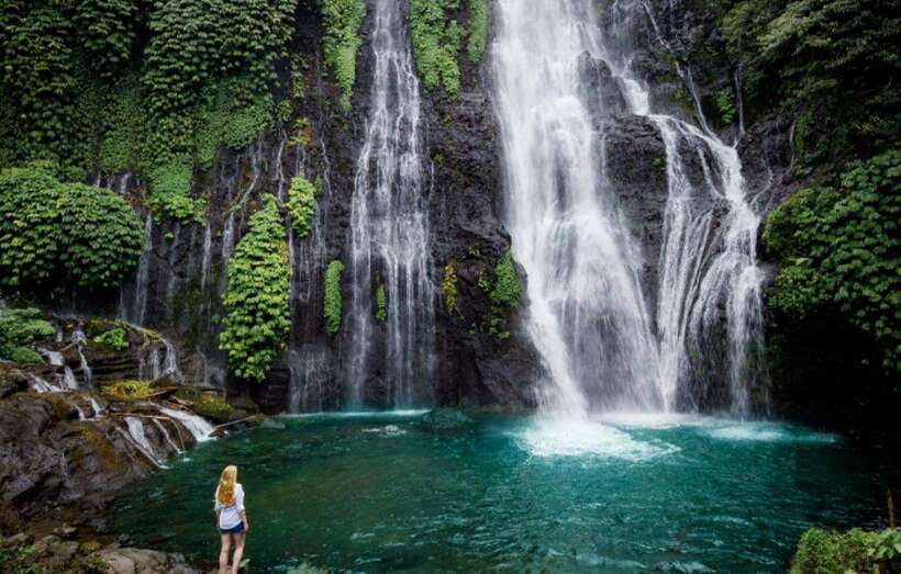 Bali: Wanagiri Hidden Hills, Waterfall, and Temples Tour - Who Will Love This Tour?