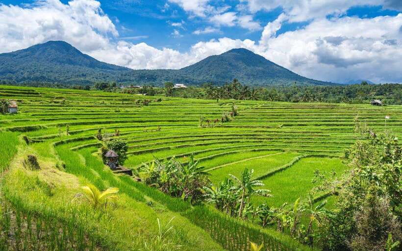 Bali: Waterfall, Rice Terraces, Temples and Sun-Set Day Tour - An In-Depth Look at the Bali Waterfall, Rice Terraces, Temples, and Sunset Tour