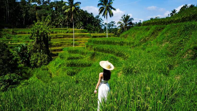 Bali : Waterfalls, Rice Terrace & Swing With Photographer - Who Will Love This Tour?