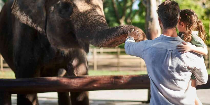 Bali Zoo: Breakfast with the Orangutans - Who Will Love This Tour?