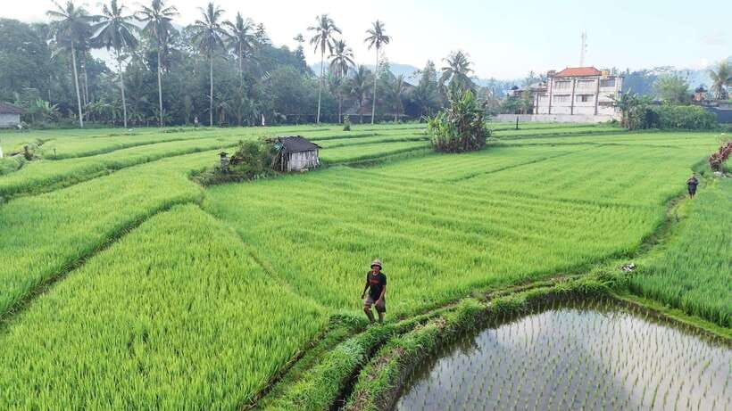 Bali:Sidemen tour guide - Authentic Experiences According to Reviews
