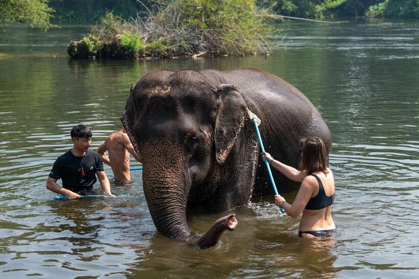 Bangkok: Elephant Sanctuary & Erawan Waterfall Tour - Itinerary and Activities