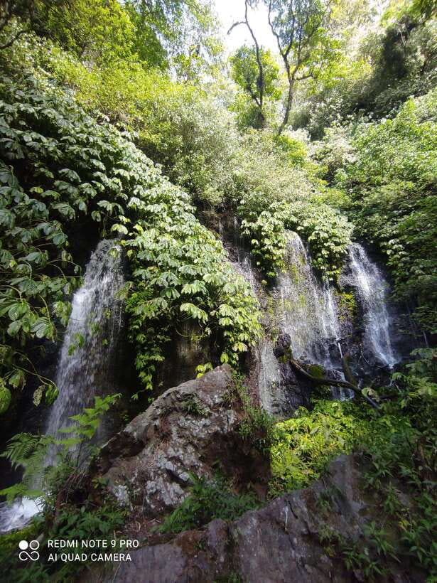 Banyumala waterfall bali ; trekking in the jungle - The Itinerary: What to Expect