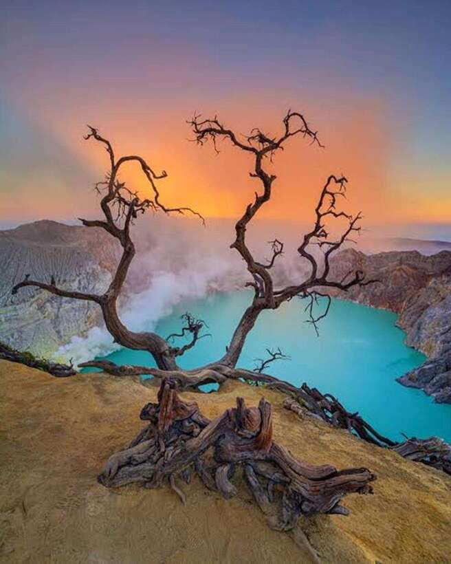 Banyuwangi: 2-Day Adventure with Baluran National Park - What to Expect from This Tour