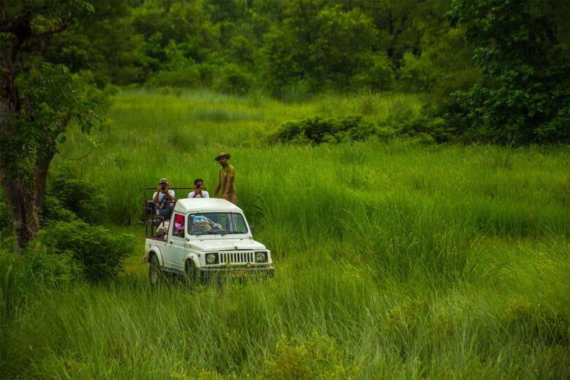 Bardiya National Park: Treehouse Stay with Wildlife Safari - The Experience Provider: iFly Nepal