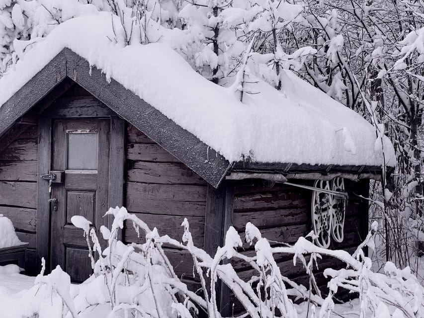 Bardufoss: Wild Moose Safari with Lunch - Is This Tour Worth the Price?