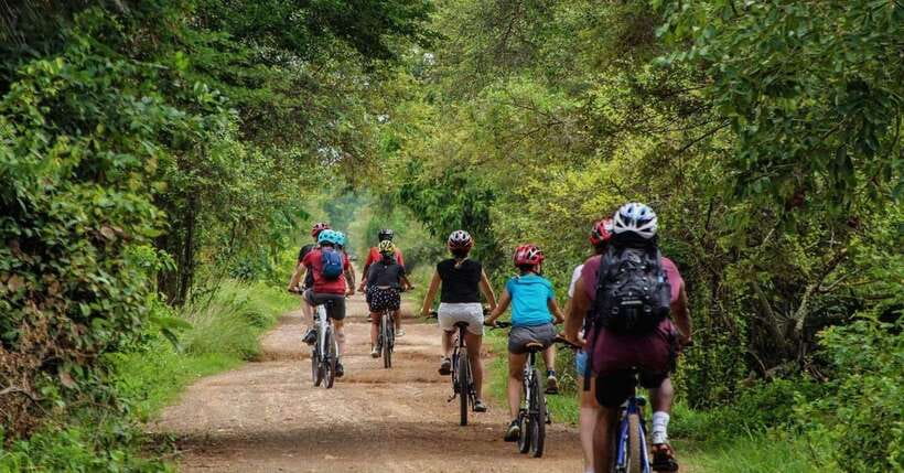 Battambang: Local Livelihood Bike Tour - Evaluating the Value