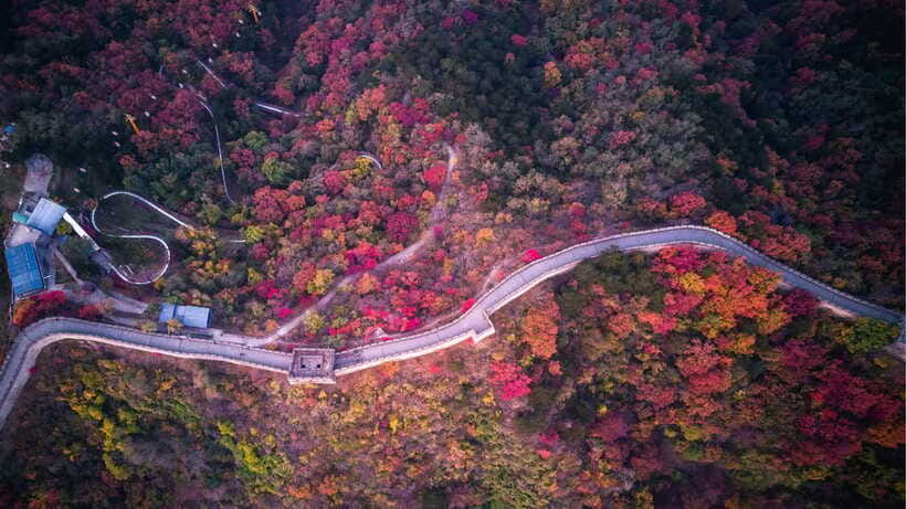 Beijing: Badaling Great Wall Tour with Guide & Transport - Why This Tour Is a Great Choice