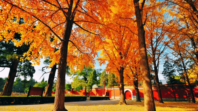 Beijing: JingShan park (palace museum garden) entry ticket - Why This Experience Is a Great Value