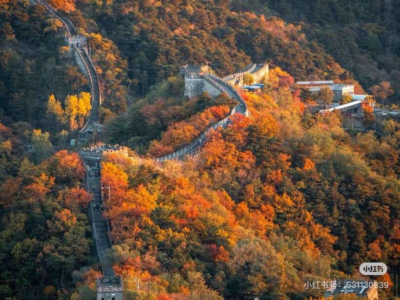 Beijing: Mutianyu Great Wall Private Tour With Tickets - Price and Value: Analyzing the Benefits