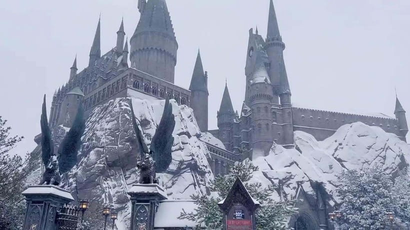 Beijing: Universal Beijing Resort 1-Day for Adult - Dining & Shopping