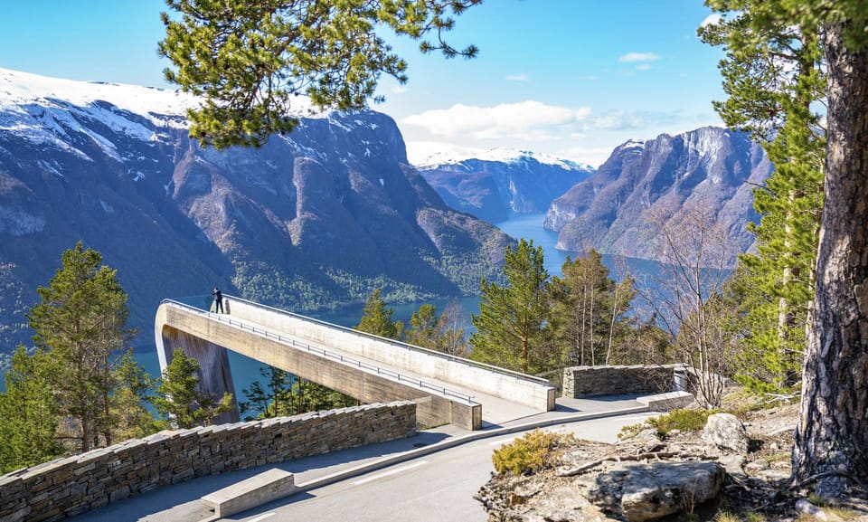 Bergen: Flam Railway, Stegastein View Point and Fjord Cruise - What Travelers Say