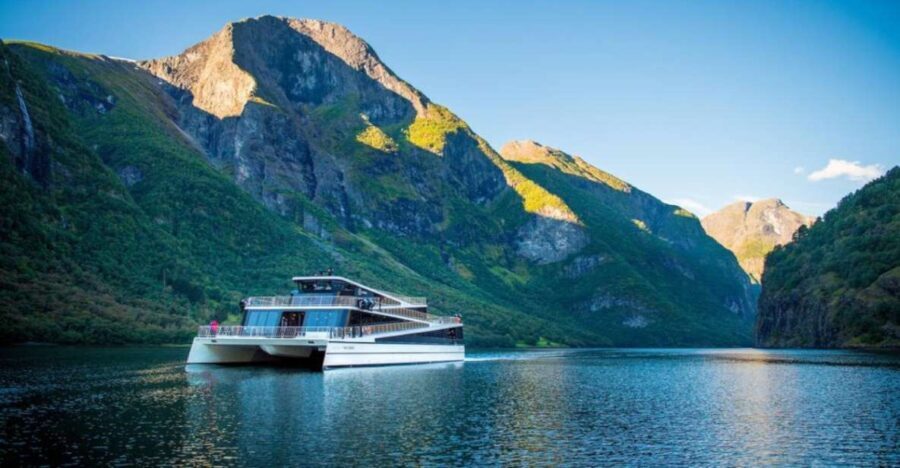 Bergen: Nærøyfjord Cruise and Flåm Railway Ride to Oslo - What’s Included and What’s Not