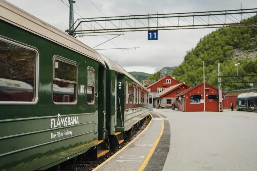 Bergen: Viking Village, Nærøyfjorden Cruise and Flåm Railway - What This Tour Means for You