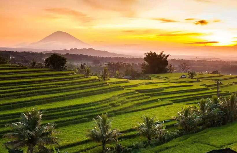 Best Northern Side Of Bali Privat Day Tour - An In-Depth Look at the Northern Bali Tour