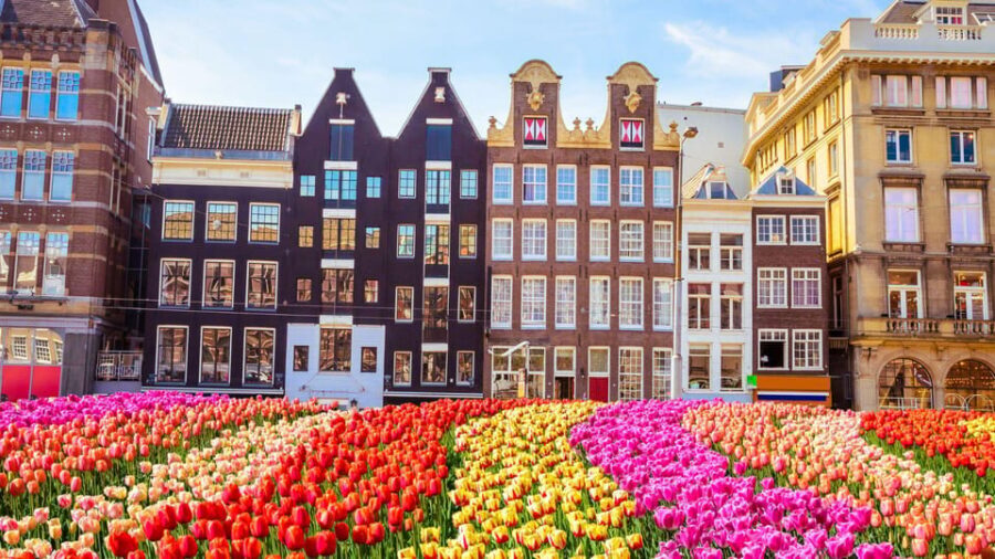 Best of Amsterdam: Private Walking Tour with a Local - What to Expect on Your Amsterdam Walk