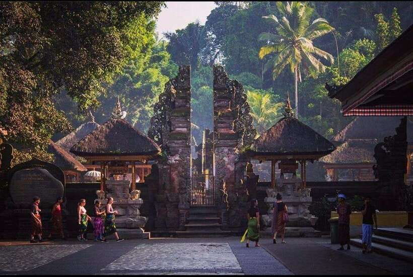 Best Of Central Bali : Holy Water/Elephant Cave /rice Fields - Practical Details and Tips