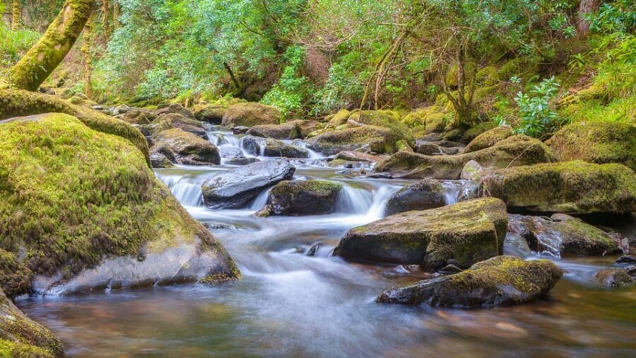 Best of Killarney: Private Walking Tour with a Local - Practical Details and Considerations