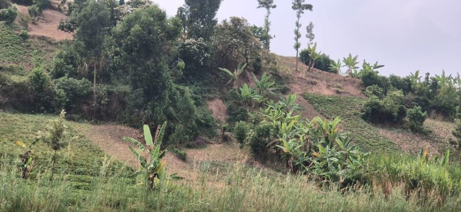 BIGOGWE : Rock Climbing and Cow Milking & Corn Roasting Tour - Detailed Itinerary Breakdown