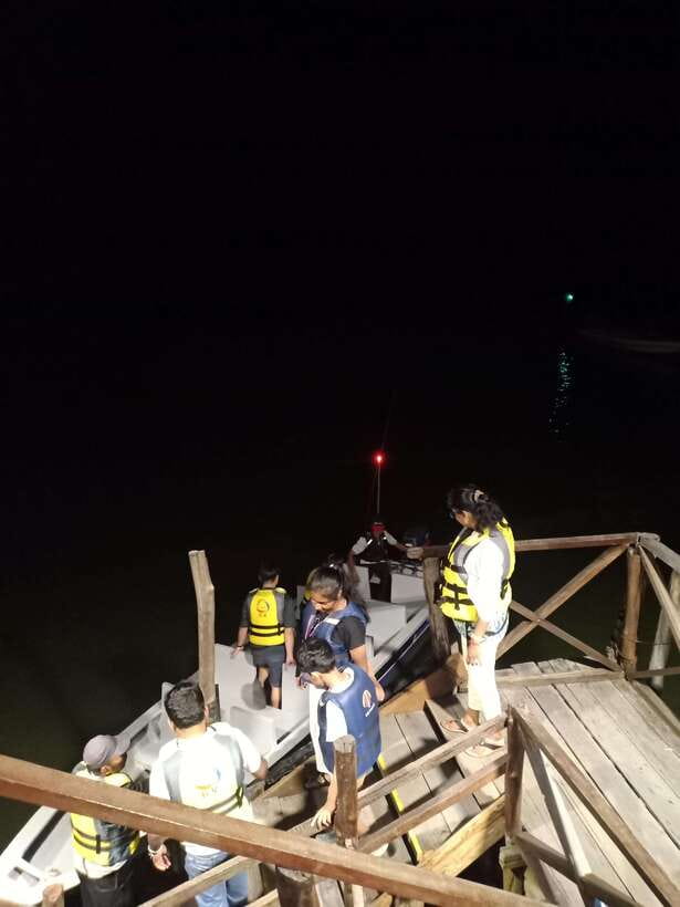 Bintan Mangrove OR Fireflies Tour - Why This Tour Offers Good Value