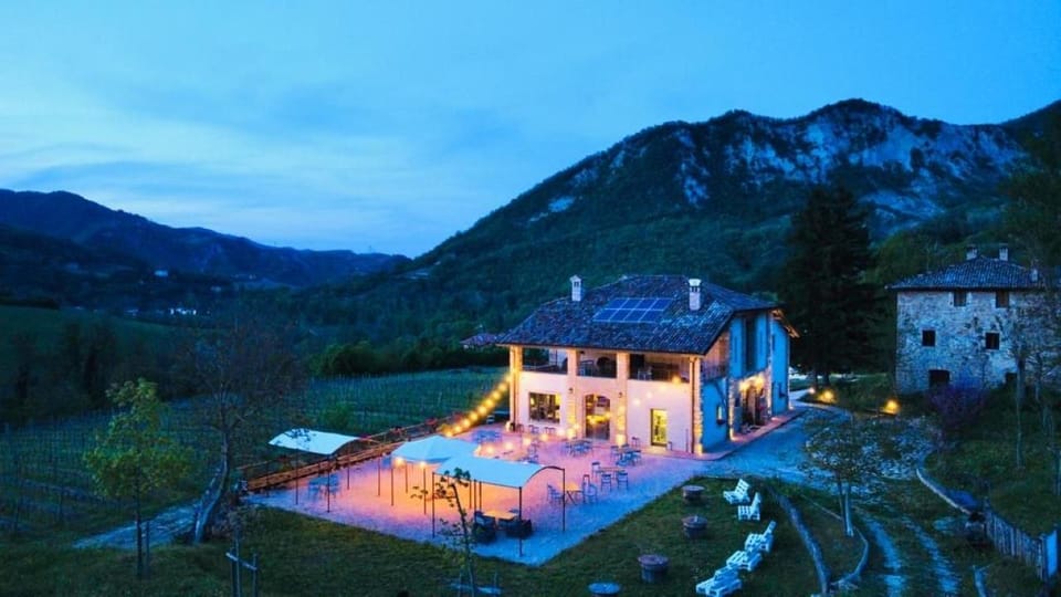 Biodynamics Vineyard Tour and Tasting at Al Di Là Del Fiume - Cellar Experience