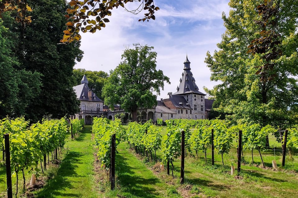 Bioul (near Dinant) : Château de Bioul Tour and Wine Tasting - Practical Details and Tips