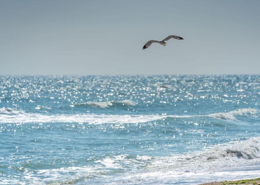 Black Sea Private Tour, Day Trip to Constanta from Bucharest - A Step-by-Step Breakdown of the Itinerary