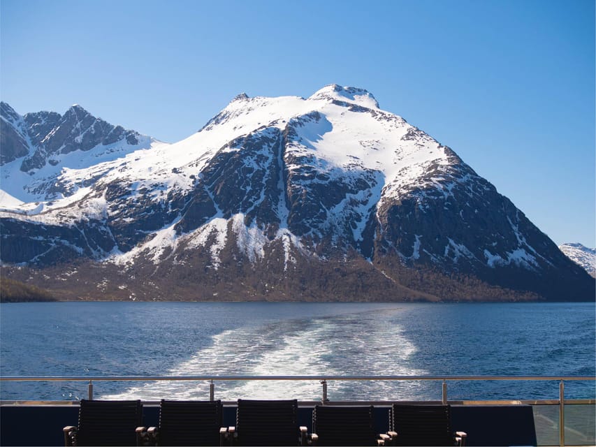 Bodø: Beiar Fjord & Saltstraument Cruise - Who Will Appreciate This Cruise?