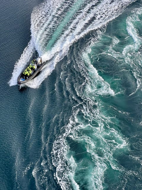 Bodø: Saltstraumen RIB Safari - Introduction: An Adventure in Norway’s Natural Power and Wildlife