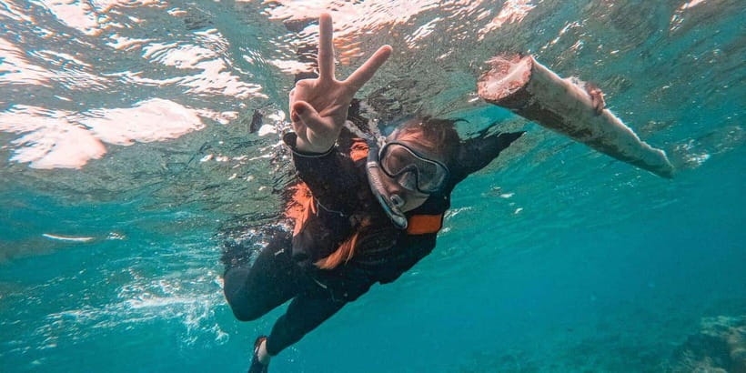 Bohol: Balicasag Shared Island Hopping Tour - Why This Tour Is a Great Choice