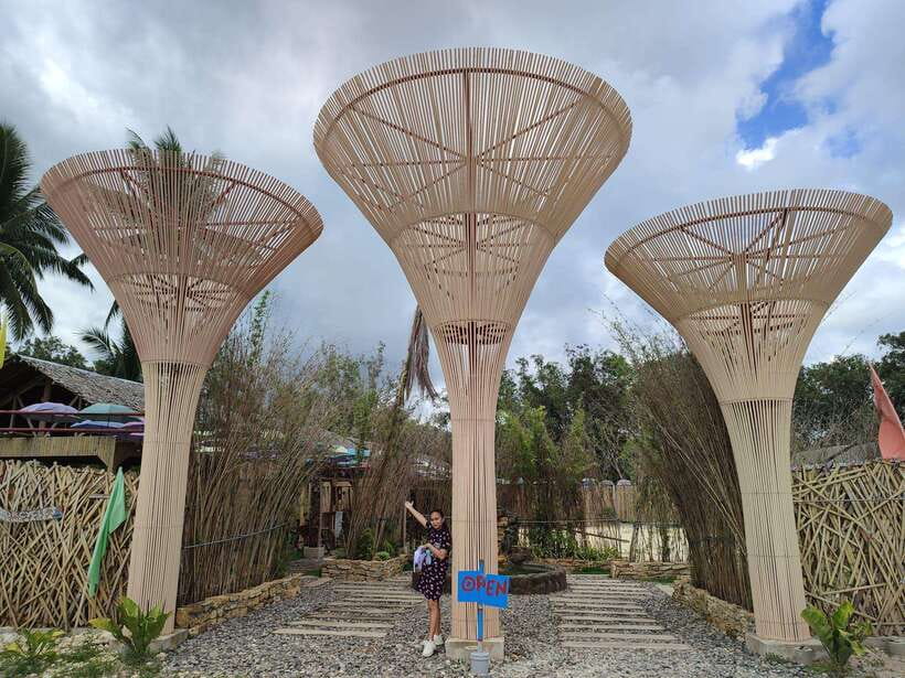 Bohol: Choco Tour & Tarsiers with Lunch - What Travelers Say